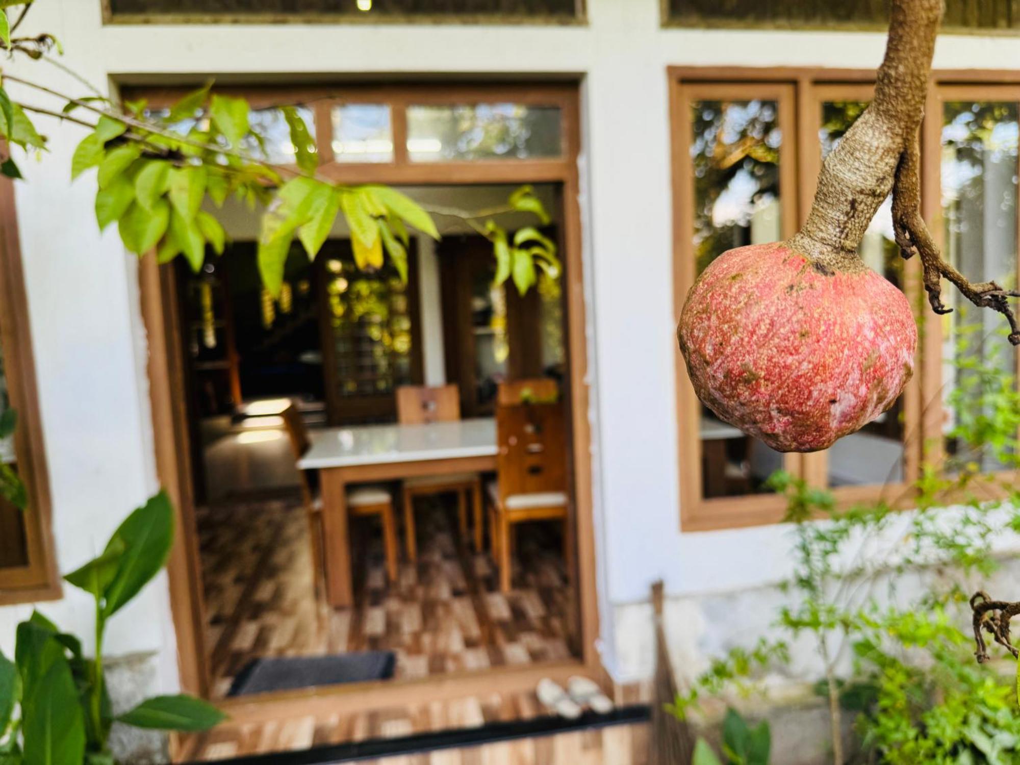Thottungal Homestay