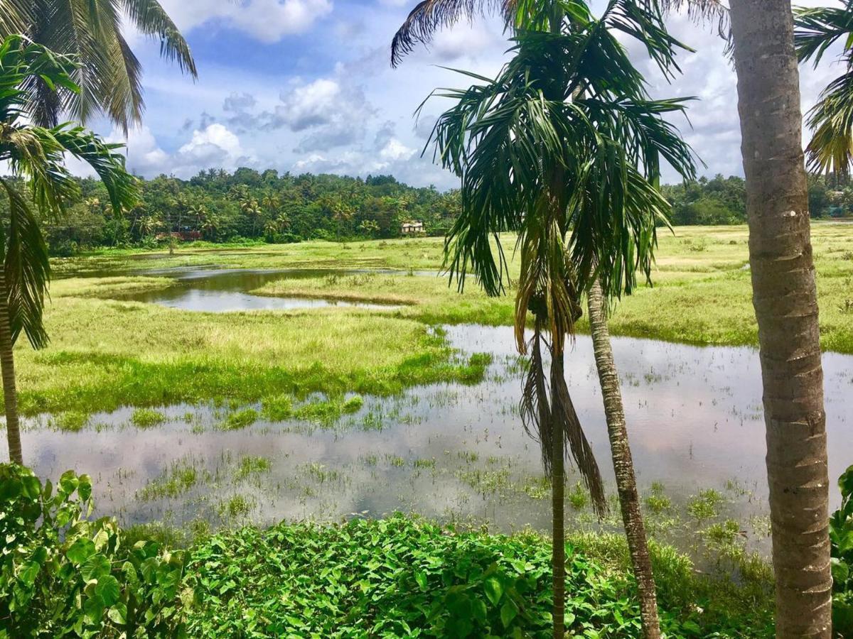 Thottungal Homestay
