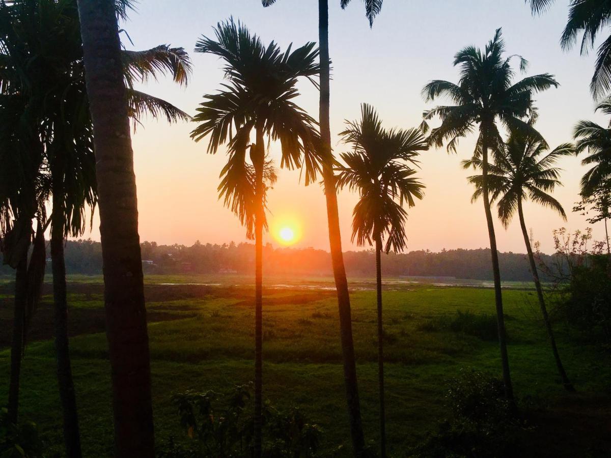 Thottungal Homestay